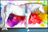 Horse Color:Chocolate Silver Classic Champagne Chinchilla Dun Sabino Splash Brindle 