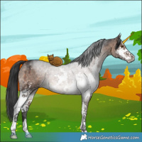 Horse Color:Brown Ice Dun Sabino Brindle 
