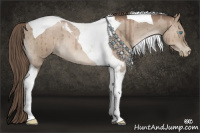 Horse Color:Grullo Pearl Mushroom Sabino Tobiano Brindle 