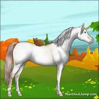 Horse Color:Gray White Spotted Sable Cream Champagne Pearl Dun Tobiano Brindle