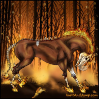 Horse Color:Silver Bay Tobiano Rabicano 