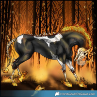 Horse Color:Black Tobiano