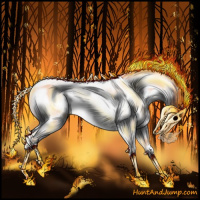 Horse Color:White Spotted Classic Champagne 