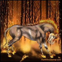 Horse Color:White Spotted Sable Champagne Splash Rabicano 