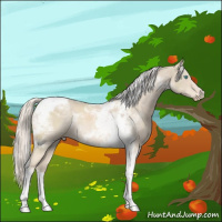 Horse Color:Cremello Roan Mushroom Tobiano