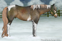 Horse Color:White Spotted Chocolate Palomino Tobiano