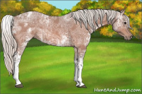 Horse Color:White Spotted Silver Bay Ice 
