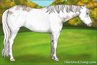Horse Color:White Spotted Silver Sable Champagne Ice Splash Frame 