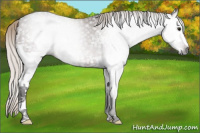 Horse Color:Gray White Spotted Silver Bay Ice 