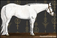 Horse Color:Cremello Sabino Varnish  and Cremello Sabino Varnish 