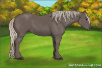 Horse Color:Silver Black 