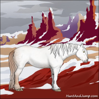 Horse Color:Gray Gold Champagne 