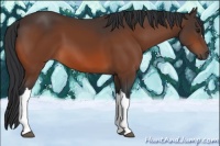 Horse Color:Brown 