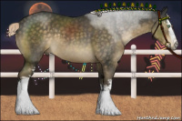 Horse Color:White Spotted Chocolate Palomino Mushroom Sabino Rabicano