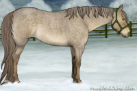 Horse Color:Chocolate Palomino Roan Dun Sabino Rabicano
