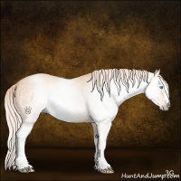 Horse Color:Gray White Spotted Cremello Roan