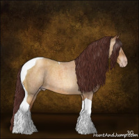 Horse Color:Gray Chocolate Amber Champagne Roan Tobiano