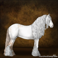 Horse Color:Gray White Spotted Gold Champagne Dun Near Leopard Rabicano 