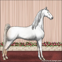Horse Color:Gray Gold Champagne 