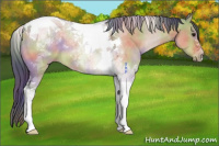 Horse Color:Nacre Bay Roan Dun Tobiano 
