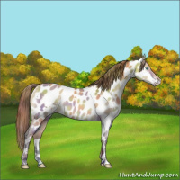 Horse Color:Nacre White Spotted Sable Cream Champagne Dun Near Leopard 