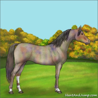 Horse Color:Nacre Liver Red Dun Roan