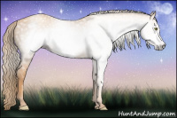 Horse Color:Gray Gold Champagne Frame 