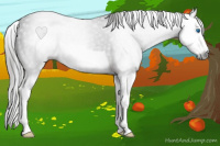 Horse Color:Gray Liver Chestnut Splash 