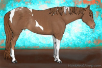 Horse Color:Chestnut Tobiano Appaloosa Rabicano 