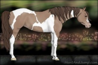 Horse Color:Classic Champagne Tobiano 
