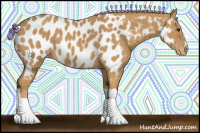 Horse Color:Palomino Near Leopard