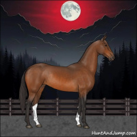 Horse Color:Buckskin Rabicano