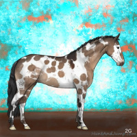Horse Color:Brown Dun Splash Tobiano