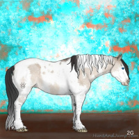 Horse Color:Brown Dun Splash Tobiano 