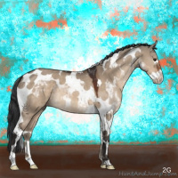 Horse Color:Brown Dun Splash Tobiano 
