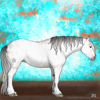 Horse Color:Gray White Spotted Liver Red Dun Near Leopard 
