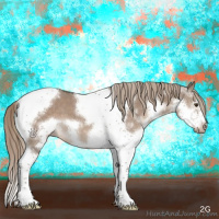 Horse Color:Liver Red Dun Splash Tobiano Frame