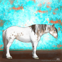 Horse Color:Liver Red Dun Splash Tobiano Frame Appaloosa 