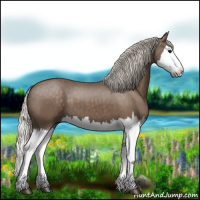 Horse Color:Silver Black Splash 