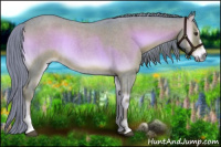 Horse Color:Watercolor Liver Red Onyx Roan Sabino 