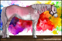 Horse Color:Watercolor Chocolate Palomino Onyx Sabino