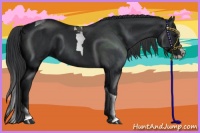 Horse Color:Black Splash Tobiano 