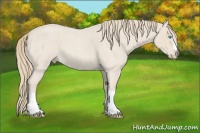 Horse Color:Smoky Creme Roan Splash