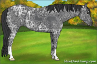 Horse Color:Black Ice 