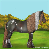 Horse Color:White Spotted Liver Chestnut 