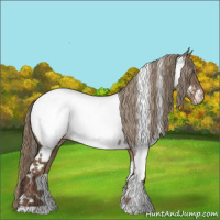 Horse Color:White Spotted Liver Red Dun Appaloosa 
