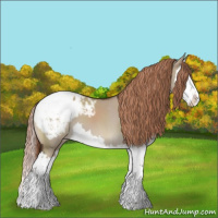 Horse Color:Liver Red Dun Splash Appaloosa 