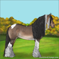 Horse Color:Brown Dun Tobiano Rabicano  and Brown Dun Tobiano 