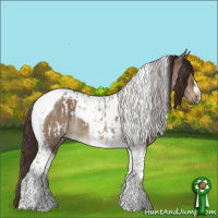 Horse Color:Liver Red Dun Tobiano Appaloosa Rabicano  and Liver Red Dun Tobiano 