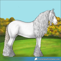 Horse Color:White Spotted Chocolate Palomino Splash Appaloosa